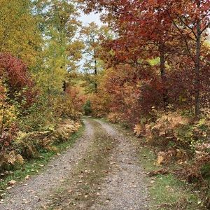 Meet your Posher, Jackson